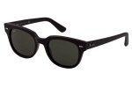 Co Ray-Ban RB4168 icons