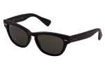 Co Ray-Ban RB4169 icons Laramie